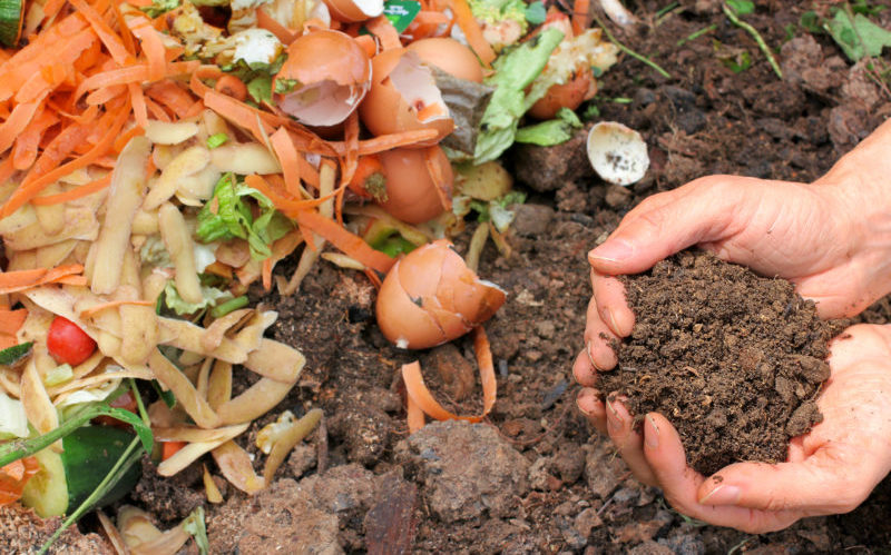 How to Make Compost at Home - The Conservation Foundation