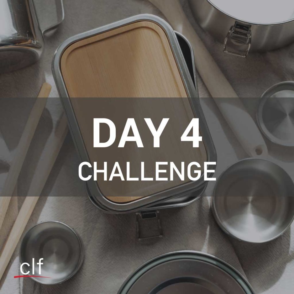 stainless steel containers with text day 4 challenge