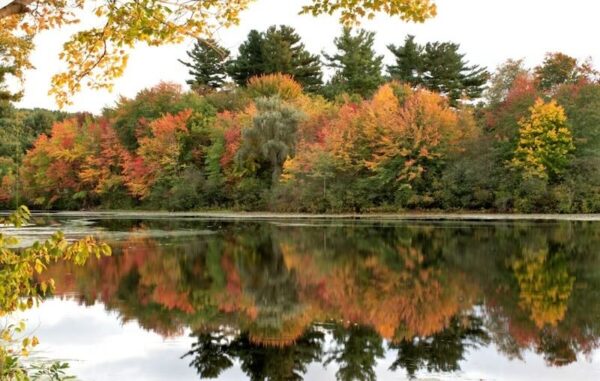 Vibrant fall foliage reflects on the calm surface of the water at Mill Pond.