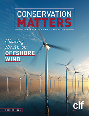 An offshore wind farm with the text Conservation Matters and Clearing the Air on Offshore Wind