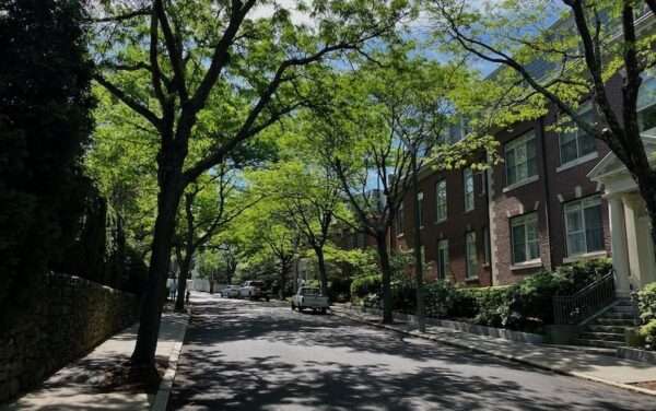 A tree-lined street in Brookline