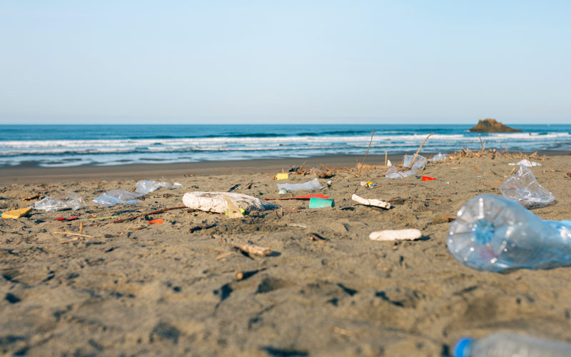 Photo of beachfront and ocean with litter and other ocean trash. Photo taken prior to a beach cleanup.