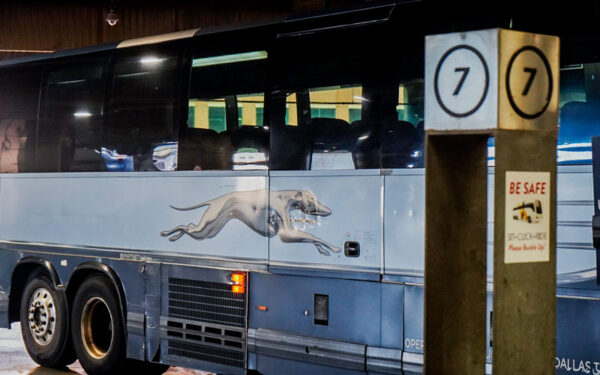 A blue Greyhound bus parked behind a number 7 sign.