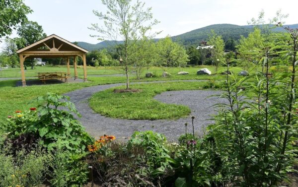 A view of Dog River park in Northfield, VT with trees and grass in the foreground.