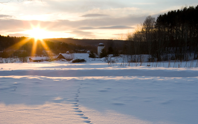 A strong sunrise against a cloudy sky reflecting on snow covered ground. There are fox tracks leading into the distance. In Quechee, Vermont.