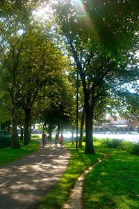 A tree-lined walking and biking path along the Charles River, with people enjoying the shaded green space on a sunny day. One of the benefits the Allston Multimodal project could bring to a reconnected community.